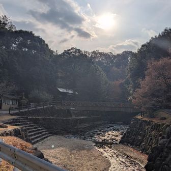 歩いて来ると暖まってちょうどええわ
