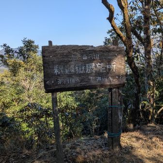 頂上到着です。