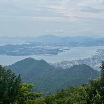 山頂あたりから関門海峡、門司の街並み🏙️