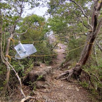 長峰山・・・と思ったら通行止め。さっきお一人下って行かれたのは、突破されたの？引き返されたの？