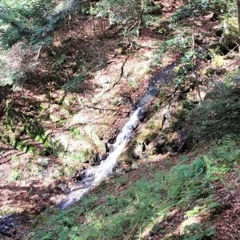 普段は数倍の水量だとか🤔
迫力ありそうですね✨