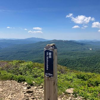 山頂✨✨