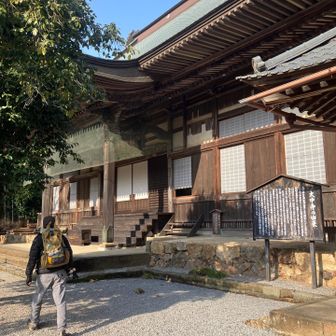 素晴らしいお寺です　一休さん呼びに行きます