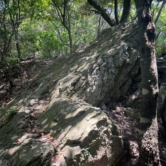 五井山・宮路山・御堂山 大きな岩がでてきた