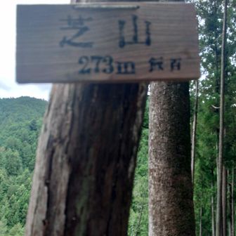 景色はよかった