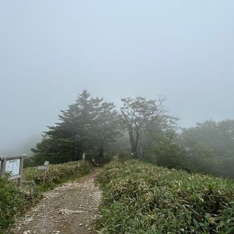 夜明し峠も、もちろん真っ白😅
