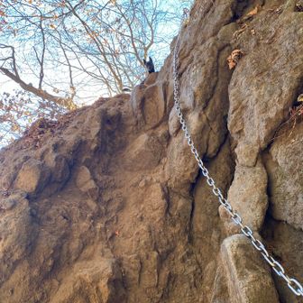 最初の鎖場。登り下りとも、抱っこで通過。