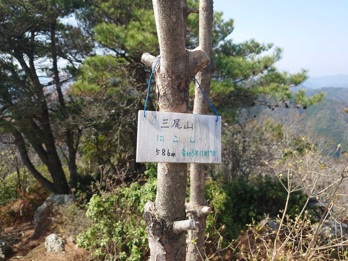 手づくりの、三尾山、主峰の
山頂,表示板。