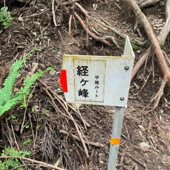下山は平尾ルートから