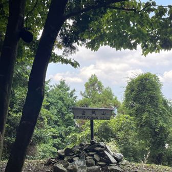 山頂です