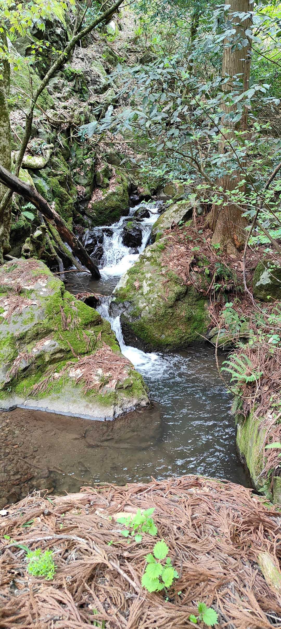 この山って滝が多いんだね😆