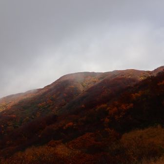 小屋が見えるところまで来ると雲が増え、日が当たったり陰ったり
