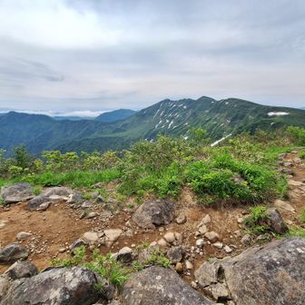 袴岳を目指します。