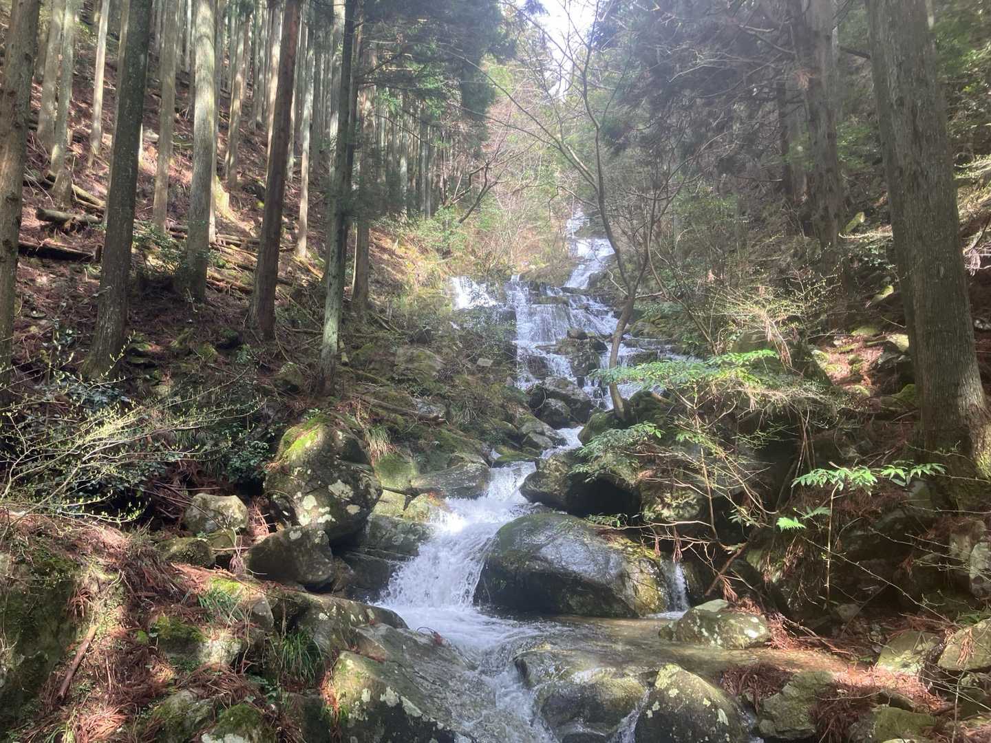 三谷登山口-千ヶ峰 周回コースの写真