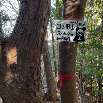 AOKIさん付けすぎ（＾＾；
何度も来てる訳ね