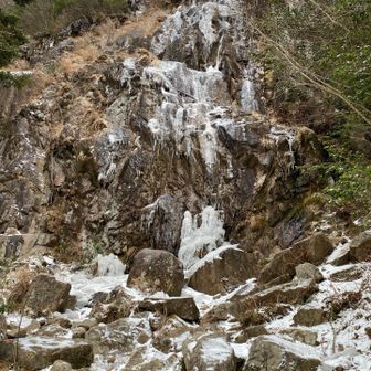 ツララは、溶けた様で、少し残ってます