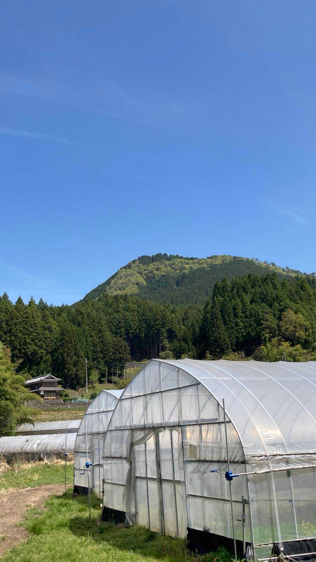 伊耶佐山　左先っちょが