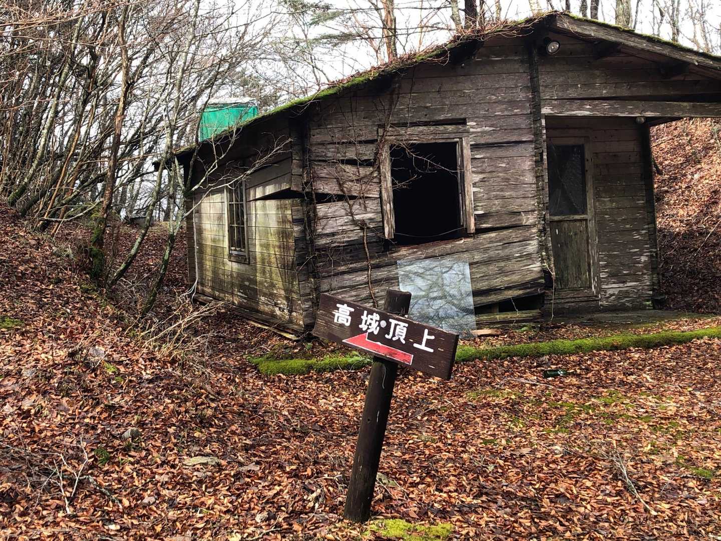 ここから登ります
