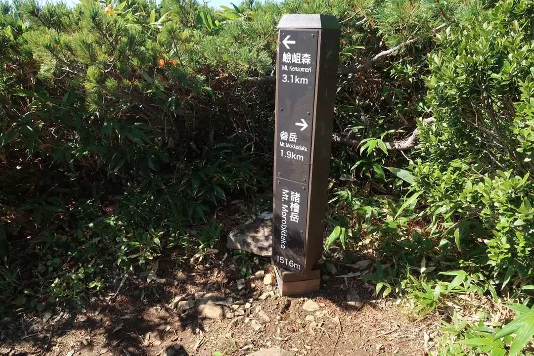 諸檜岳の写真