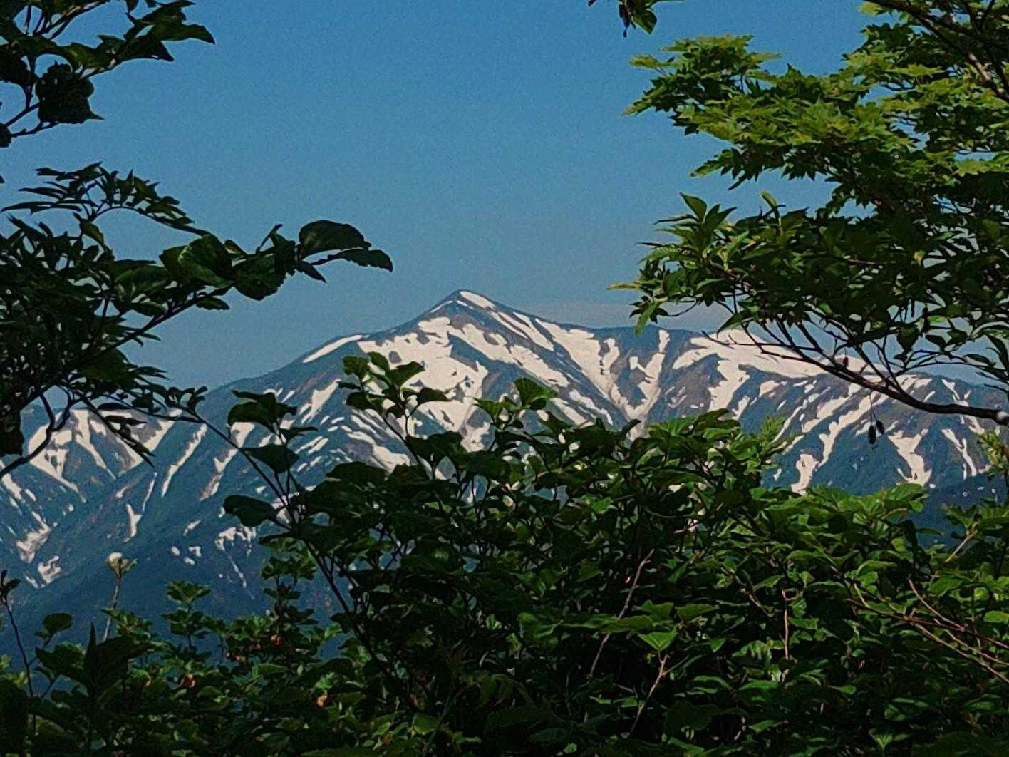枝の隙間から大朝日岳