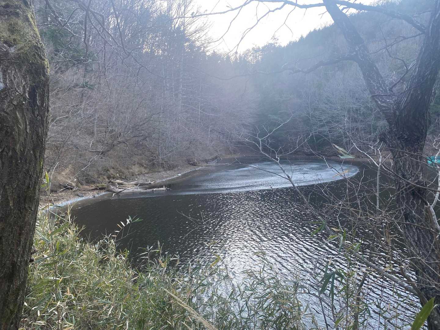 寒くて氷が張っていました