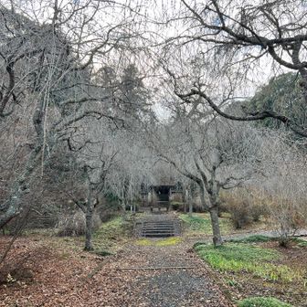 微妙な時間帯
大政山までいけるかな？