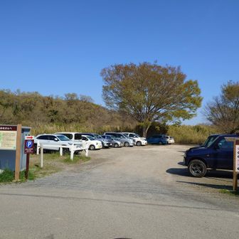 14:30でこの賑わい(^_^;)
第2駐車場も結構埋まってました🚗