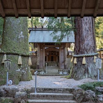 狛犬ならぬ、狛猿がある
珍しい神社