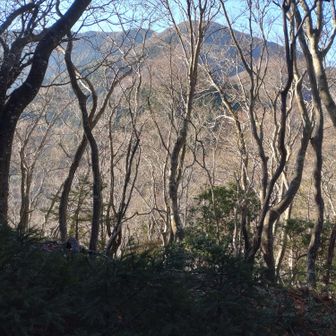 コレが目標の山かな？