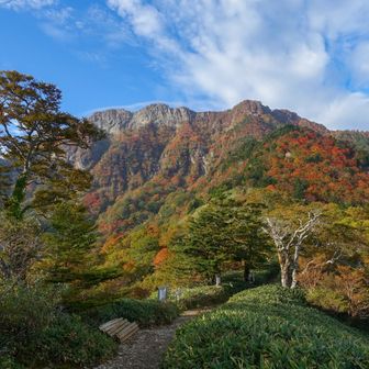 登山道ですれ違うこともなくスイスイ
ピークシーズンはこの行程がスムーズで良い