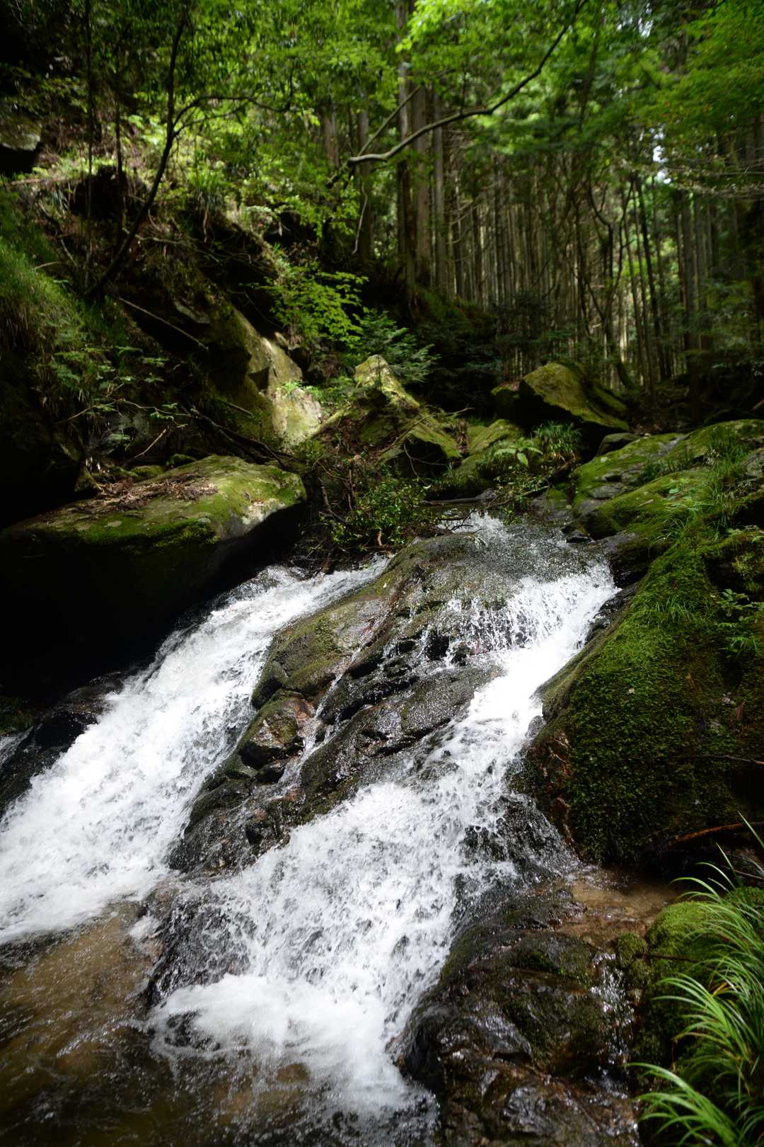 里美富士登山口・薄葉沢の滝入口-おしゃべり地蔵-妙見山 往復コースの写真
