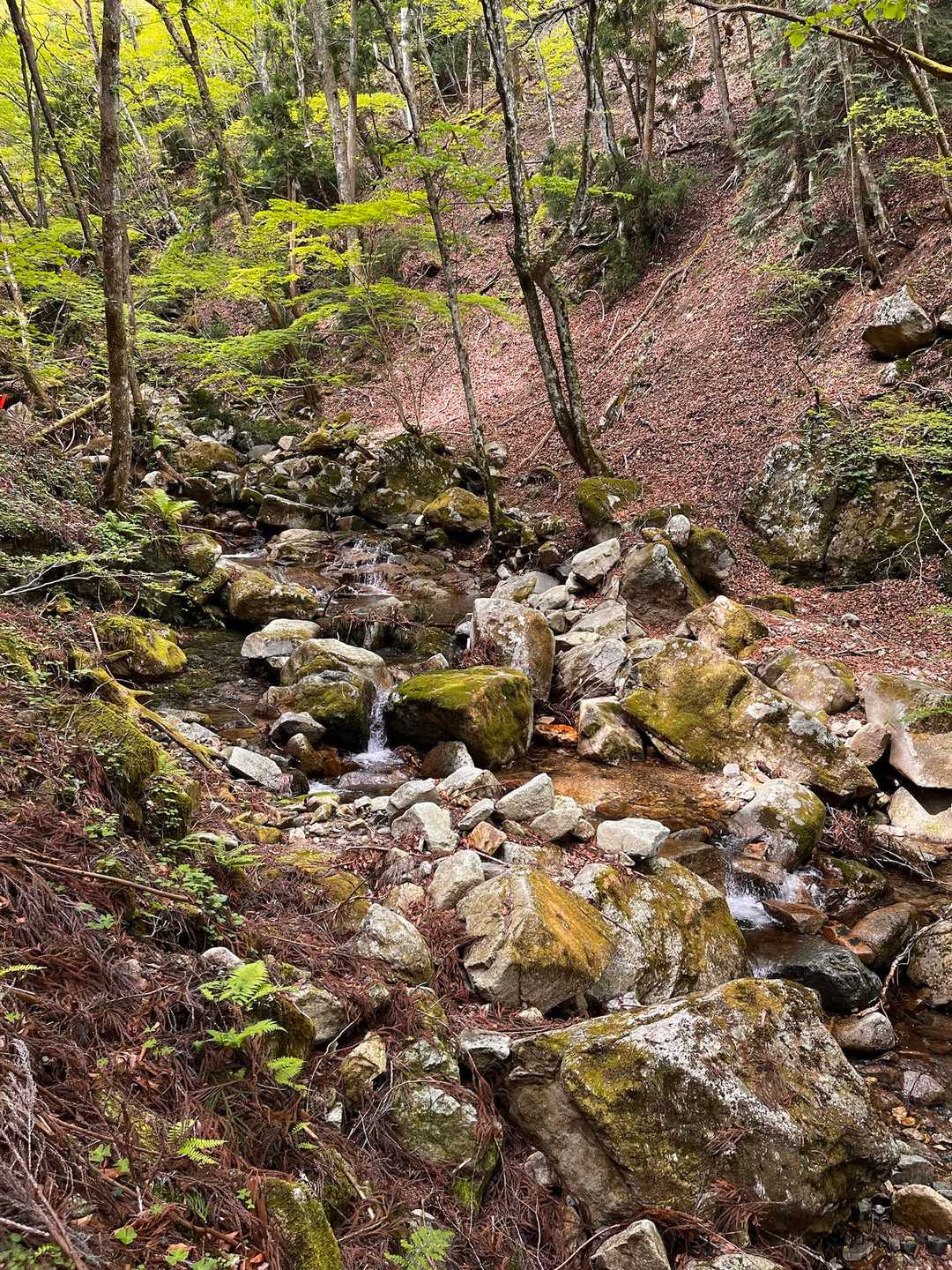銚子ヶ口登山口-銚子ヶ口 往復コースの写真