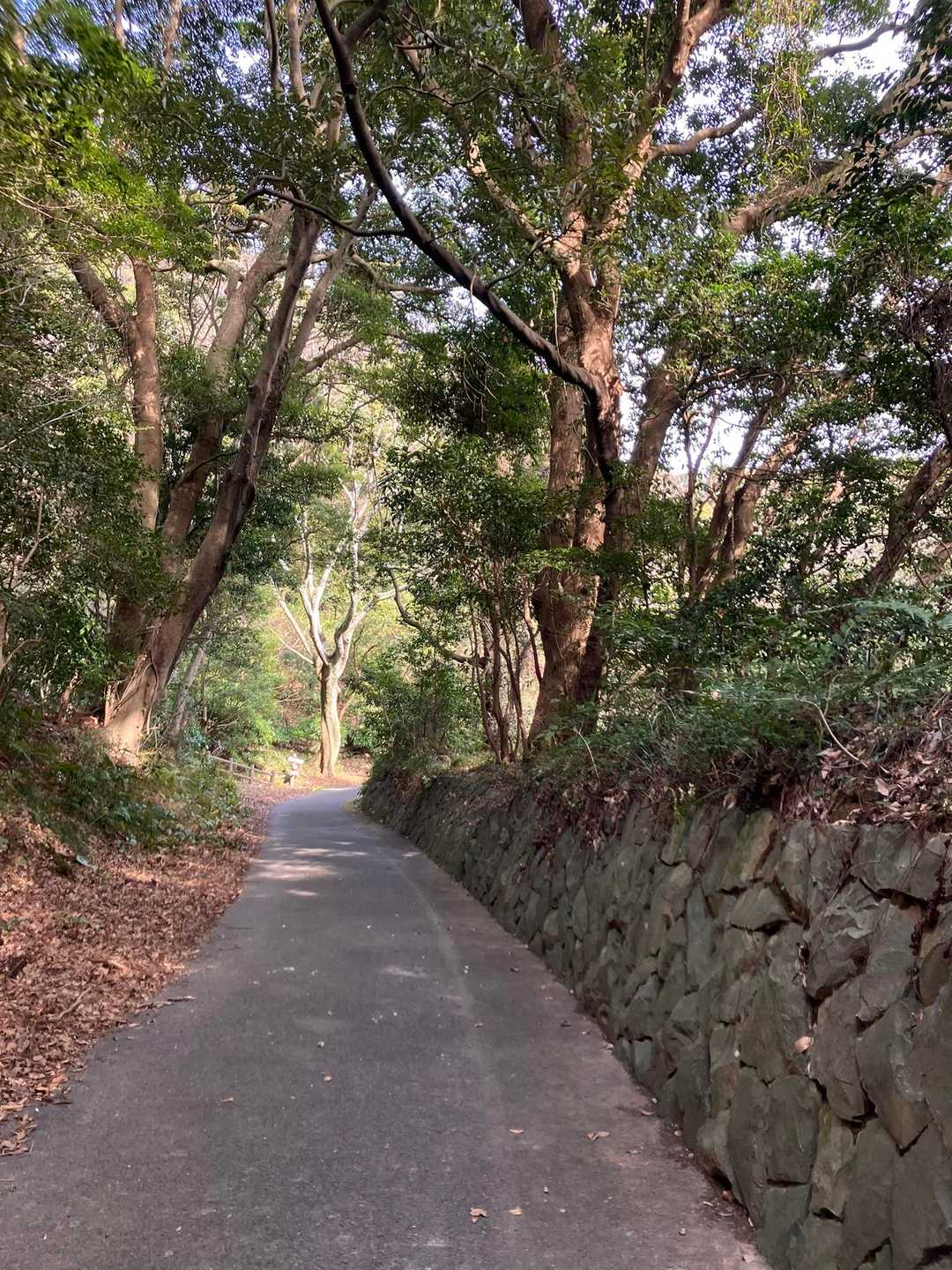 霊鷲山 往復コースの写真