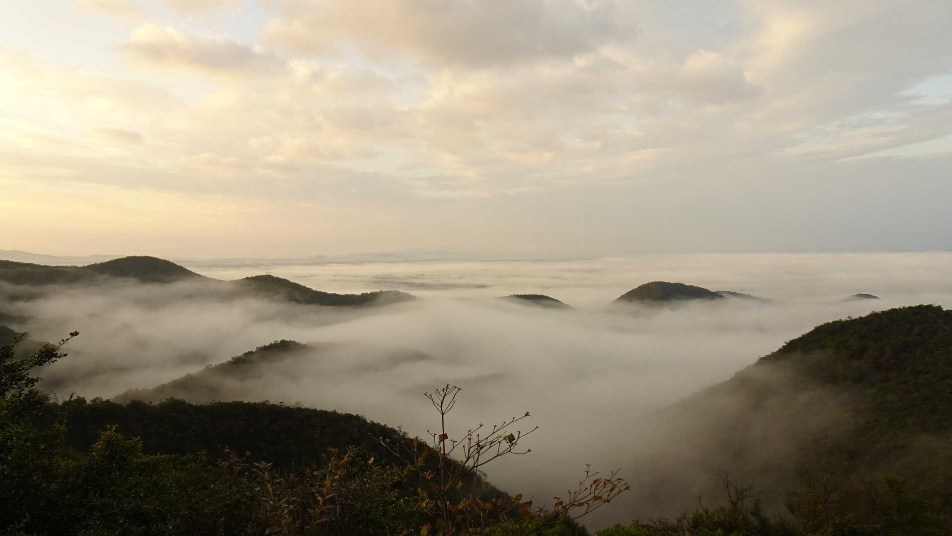 山口登山口-三草山 往復コースの写真