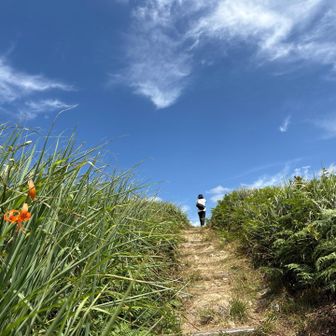 ええ風が吹いて、夏空も気持ち良い👍🏻