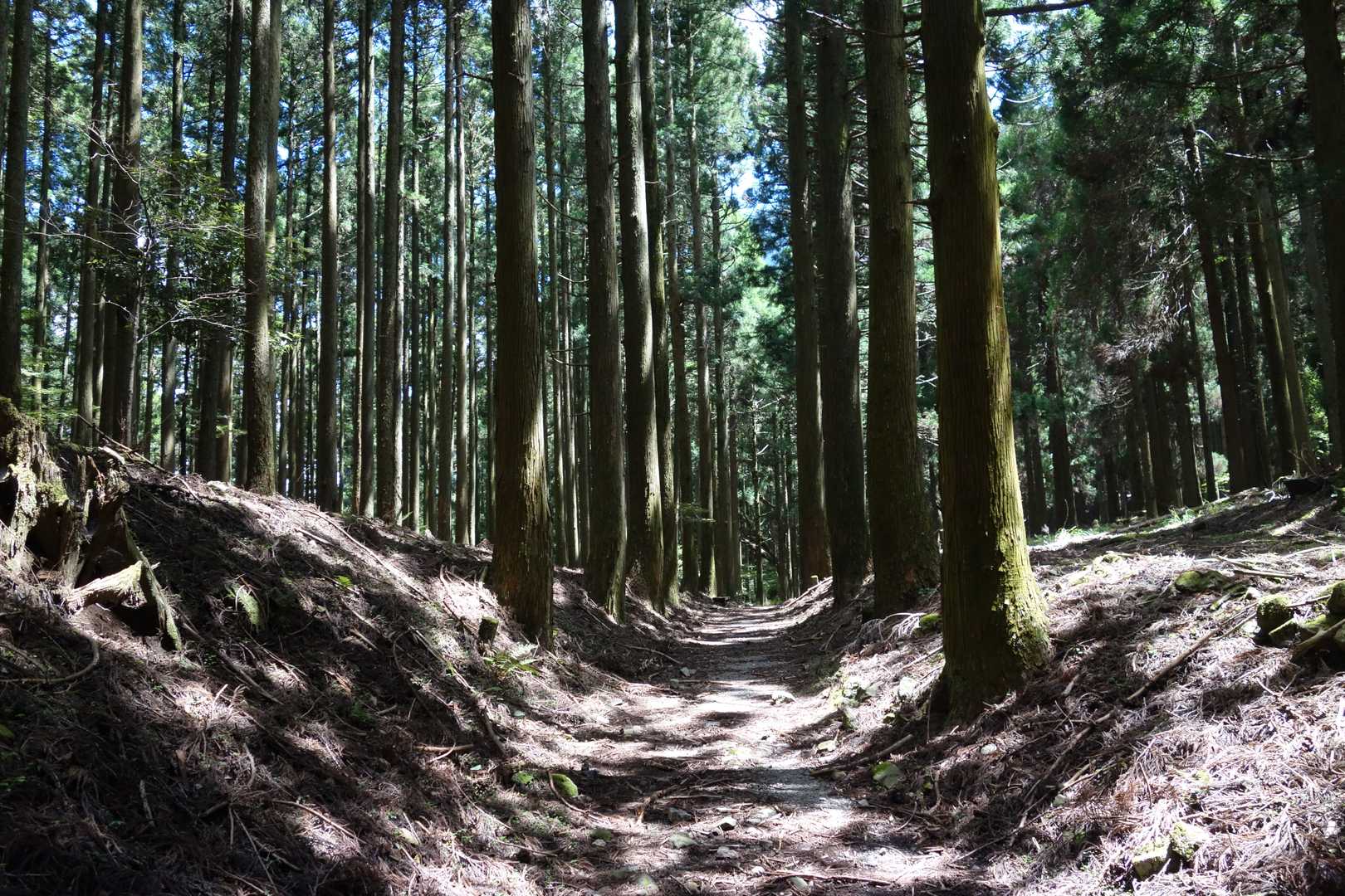 豊前坊へ。