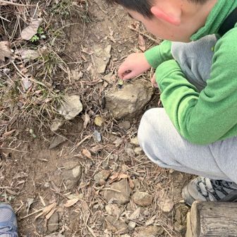 シーボルトちゃんと戯れる🪱