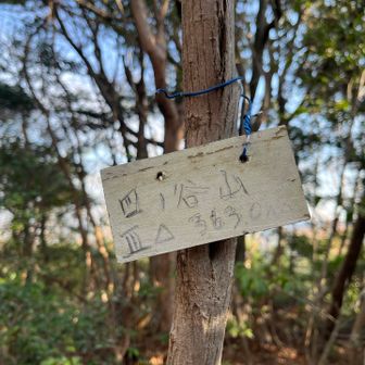 少し足を伸ばして⛰️