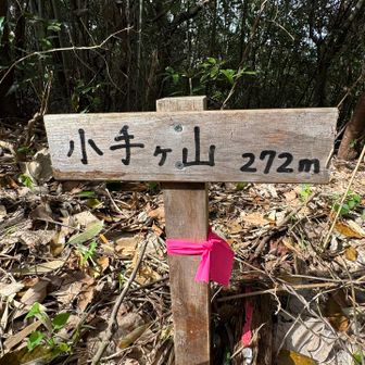 着いた🙌ここも🩶peak👇
低山GET👍