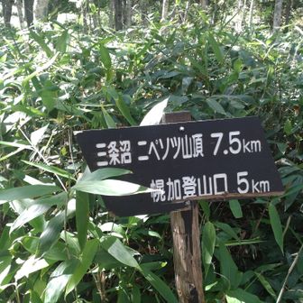 あと5キロ。早く着きたい気持ちと名残惜しい気持ちと。