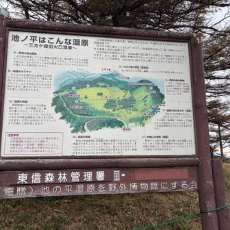 いいところでした。登山しない人でもゆっくり散策できる。