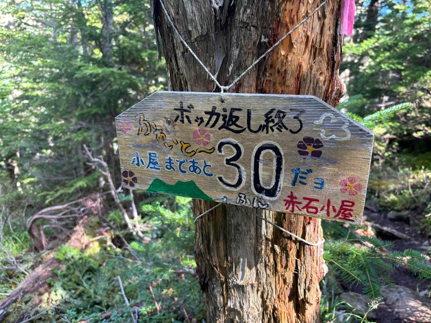この看板も😍