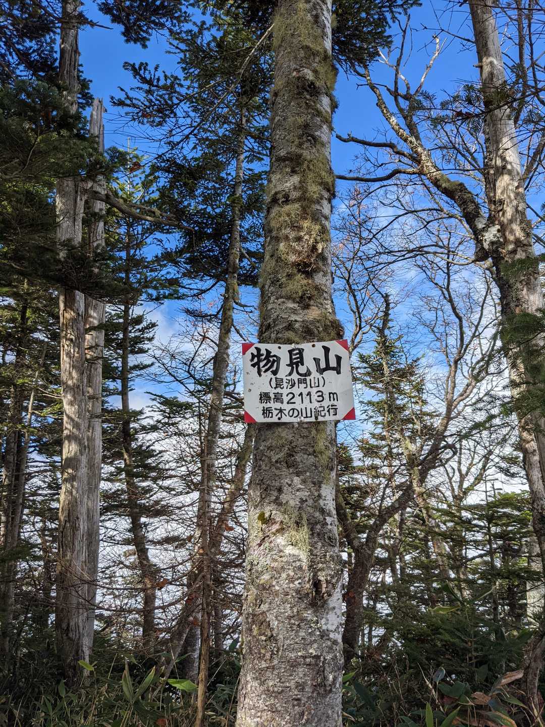 物見山到着
鬼怒沼へ下ります
