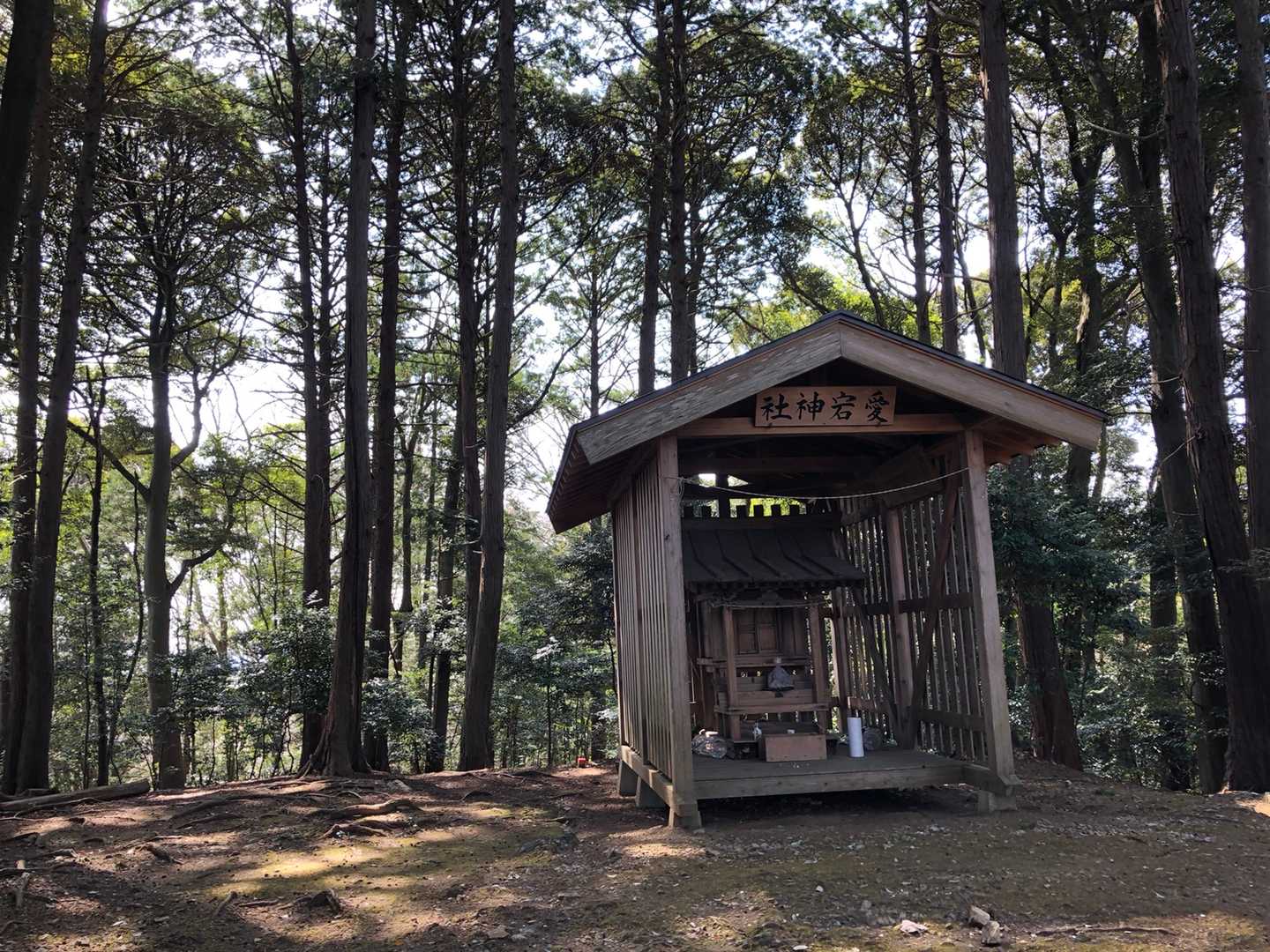 愛宕山は道が整備されてました