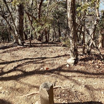 また標高柱が有ります