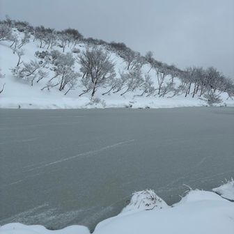 池は完全に凍っている