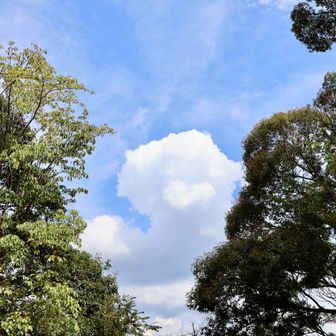 夏空〜☁️
しかし暑い〜🥵