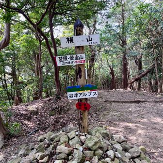 一度平地まで下りてしまったが
あと二山ある