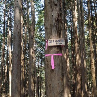 前述に同じ。おとなしく巻き道を行った方がいい。