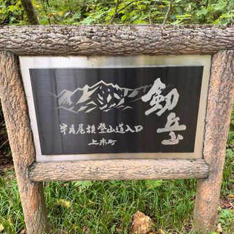 お疲れ様でした